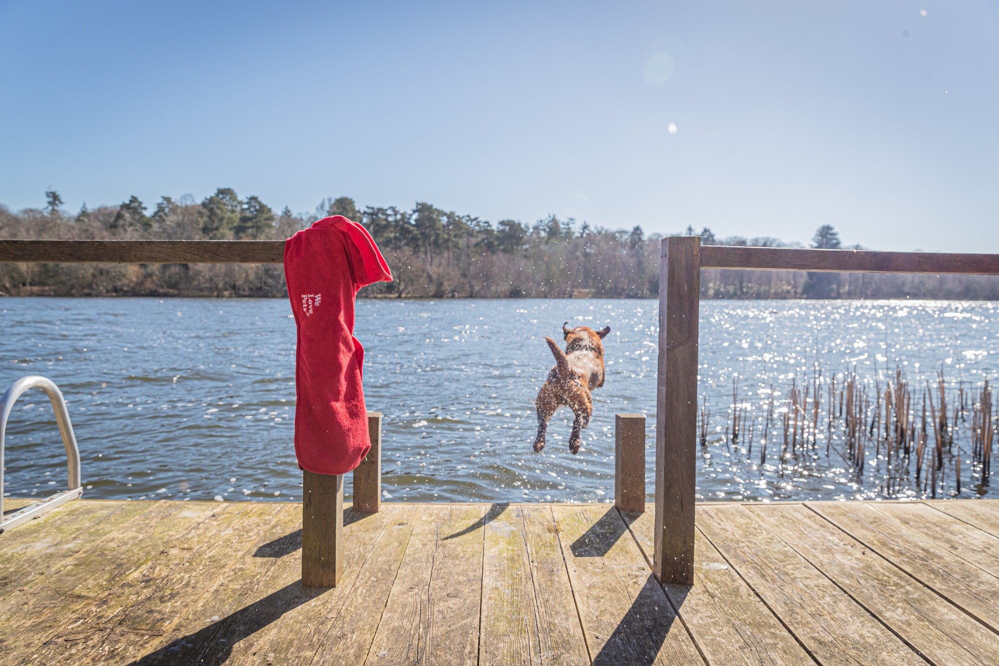 We Love Pets branded dog bathrobe for drying and warmth after a swim