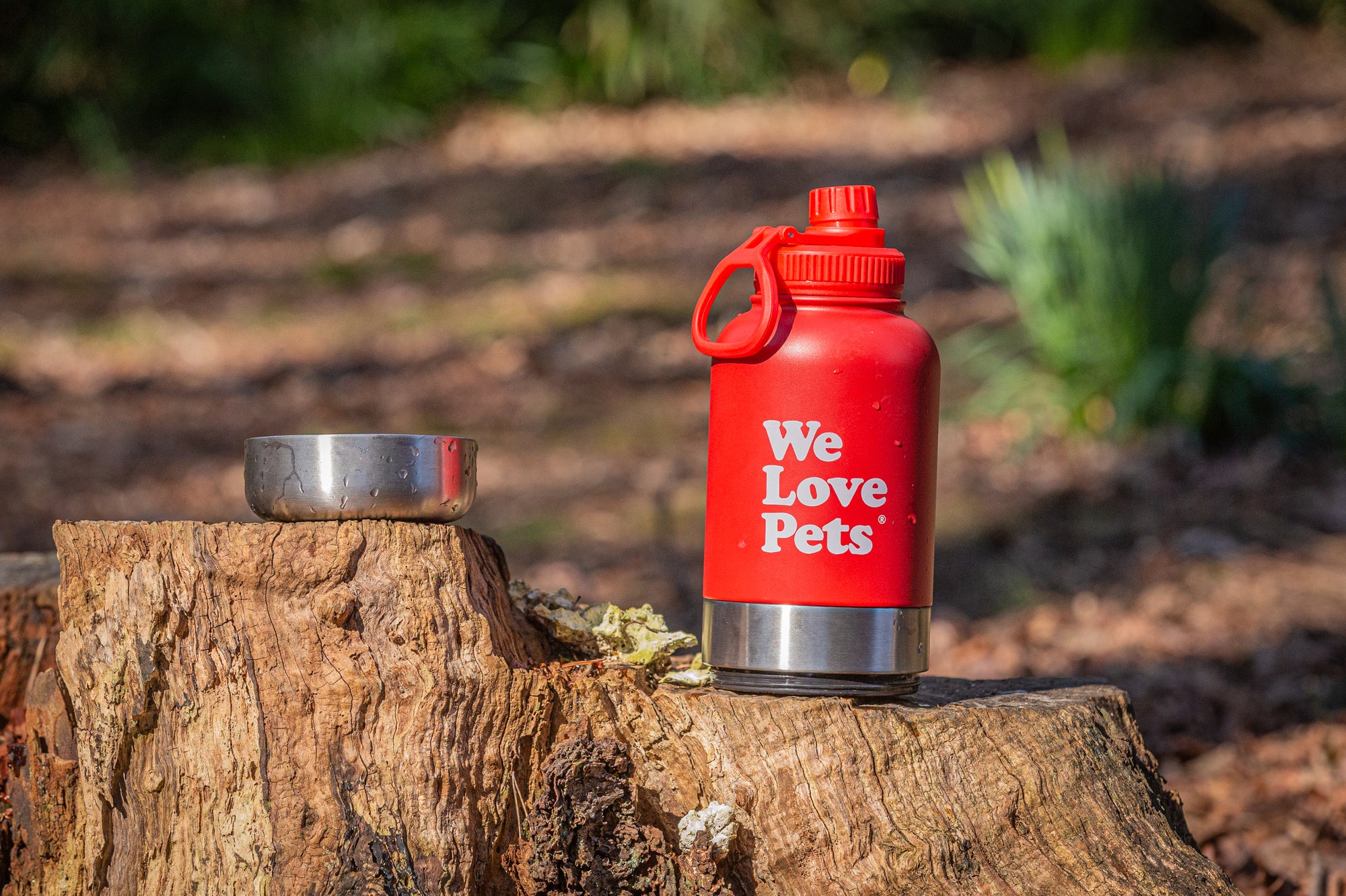 Stainless steel dog travel water bottle in use on a walk or outdoor trip
