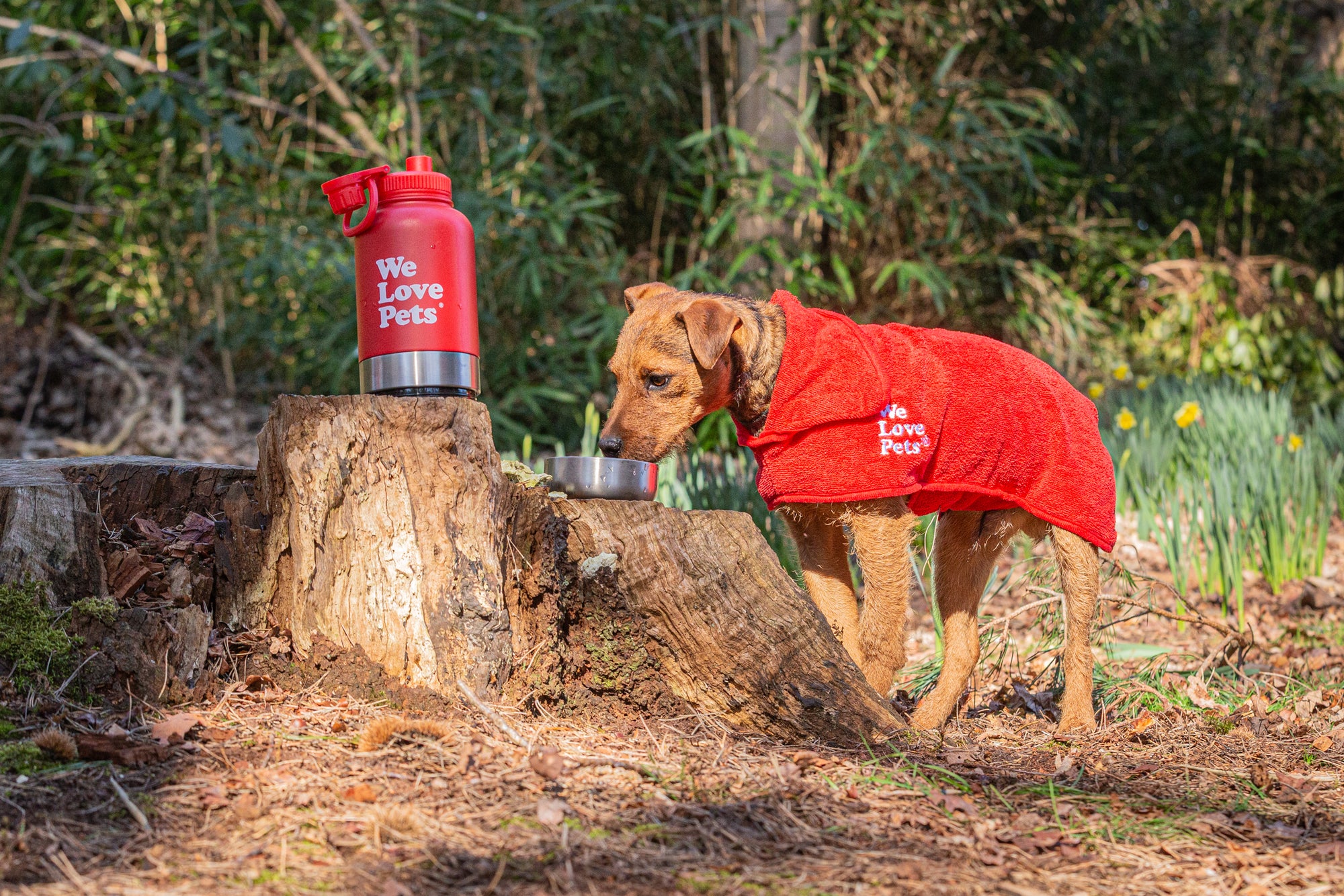 We Love Pets dog travel water bottle and bowl in use during an outdoor walk