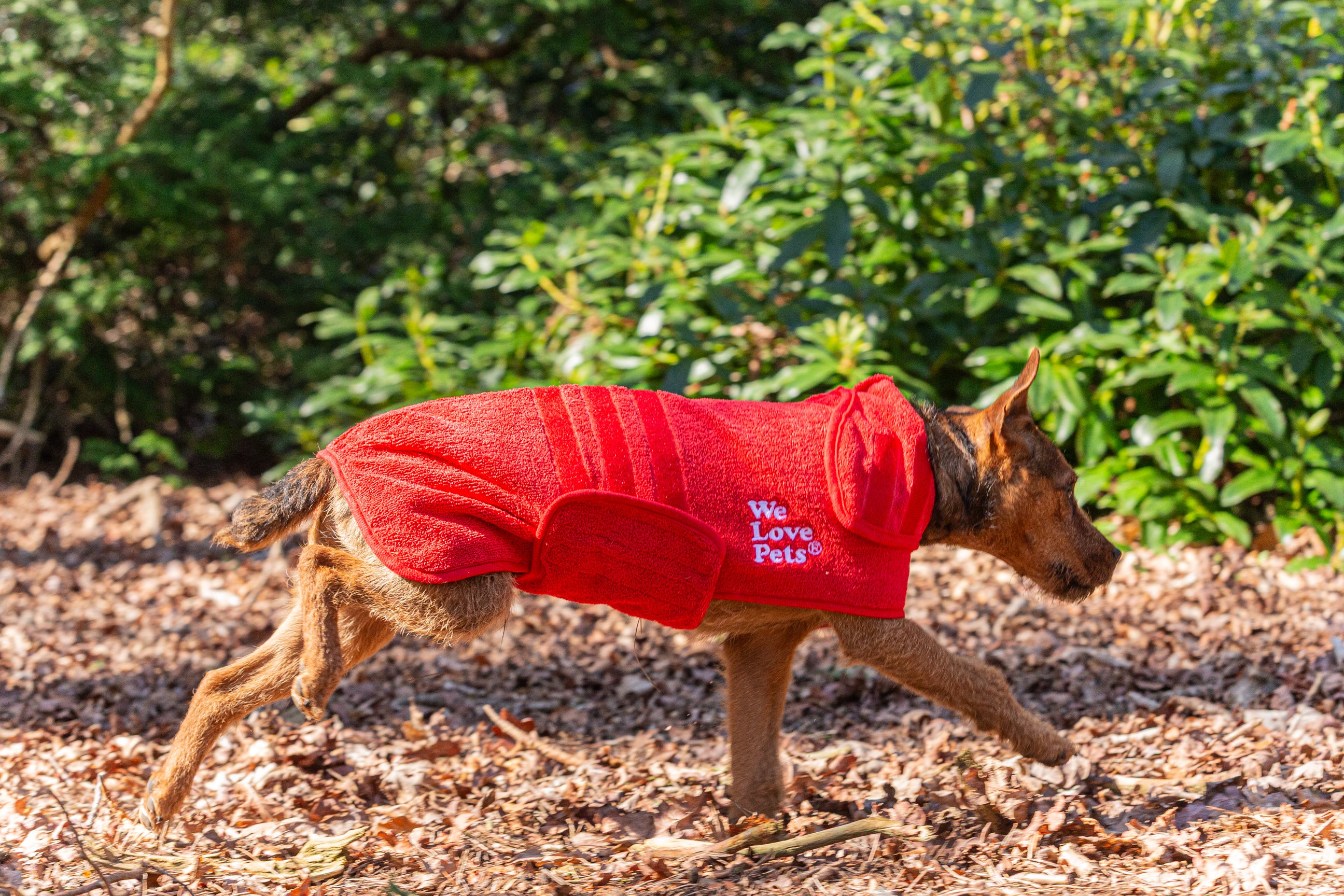 We Love Pets super absorbent quick dry pet bathrobe made from coral fleece