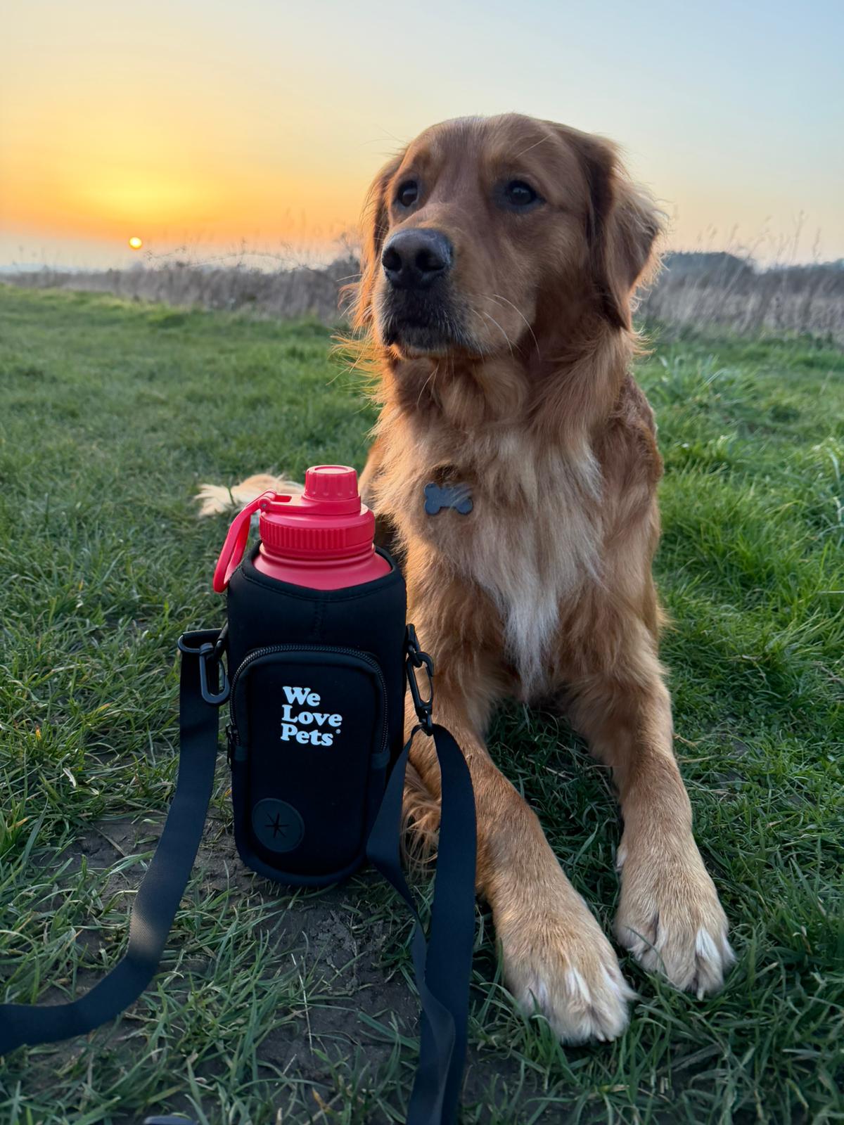 3-in-1 Insulated Stainless Steel Dog Water Bottle & Bowl