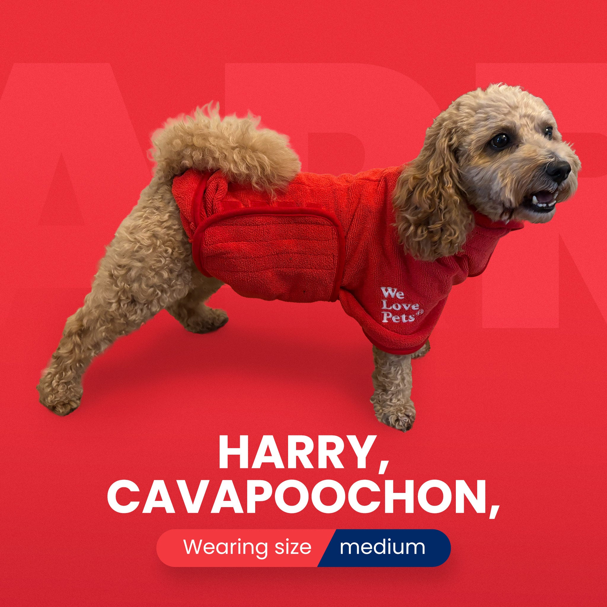 Super Absorbent Quick-Dry Pet Bathrobe