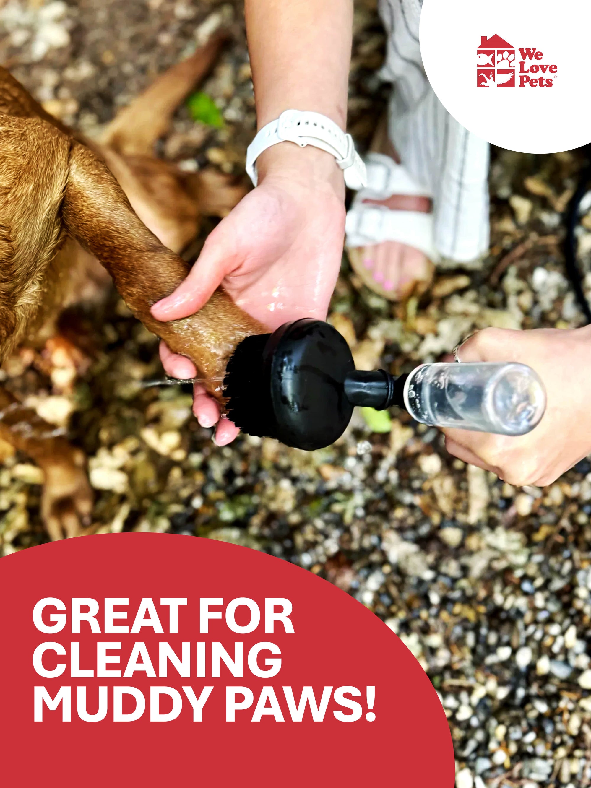 Close-up of Portable Paw Washer spraying water on dog’s paws